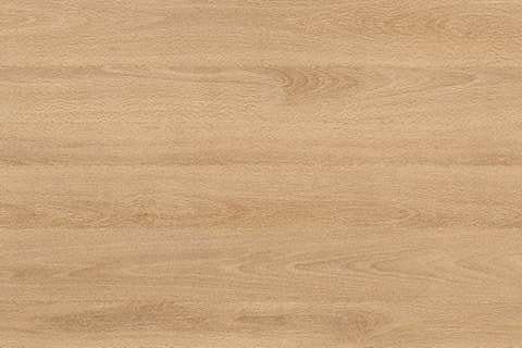 1738 buk přírodní