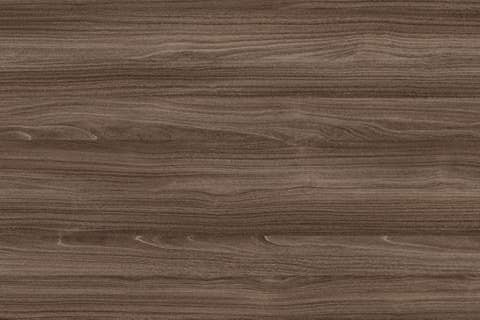 5504 javor kanadský