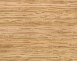 oliva sevila světlá