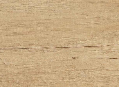 Dub nebraska přírodní