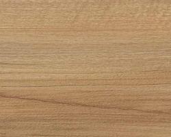 ořech pacifik přírodní H3700